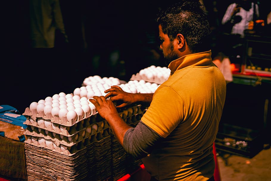 man in brown collared shirt arranging eggs on trays, human, person