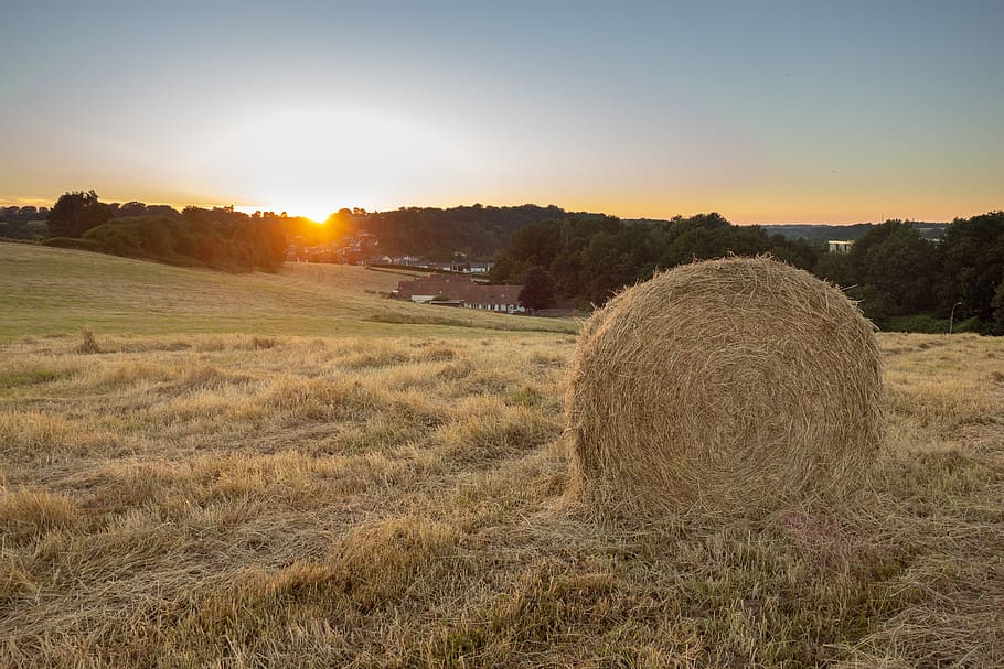 boot, fields, sunset, nature and wildlife, twilight, straw HD wallpaper