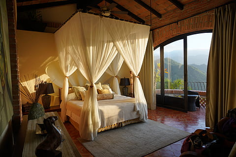 white canopy bed in room, flooring, wood, hardwood, furniture HD wallpaper