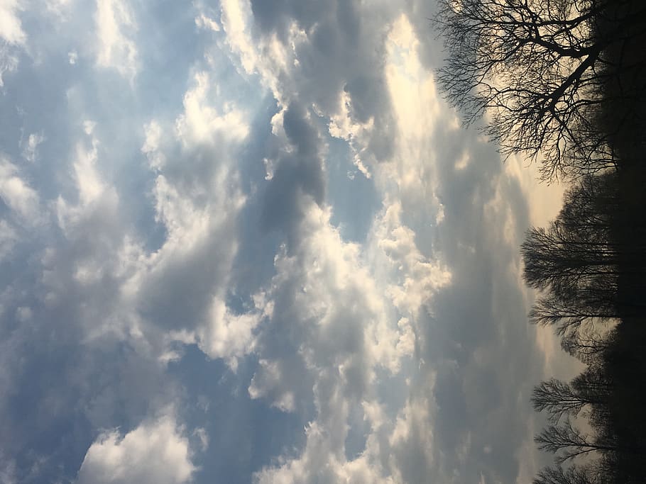 cloud - sky, tree, beauty in nature, no people, plant, scenics - nature HD wallpaper