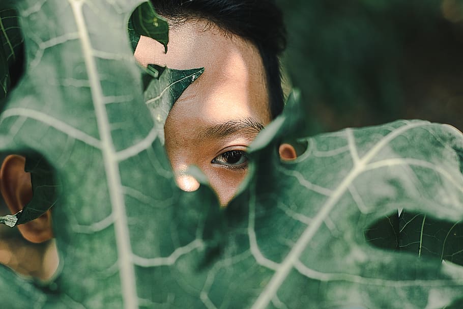man's face, leaf, person, human, plant, head, vietnam young boy HD wallpaper