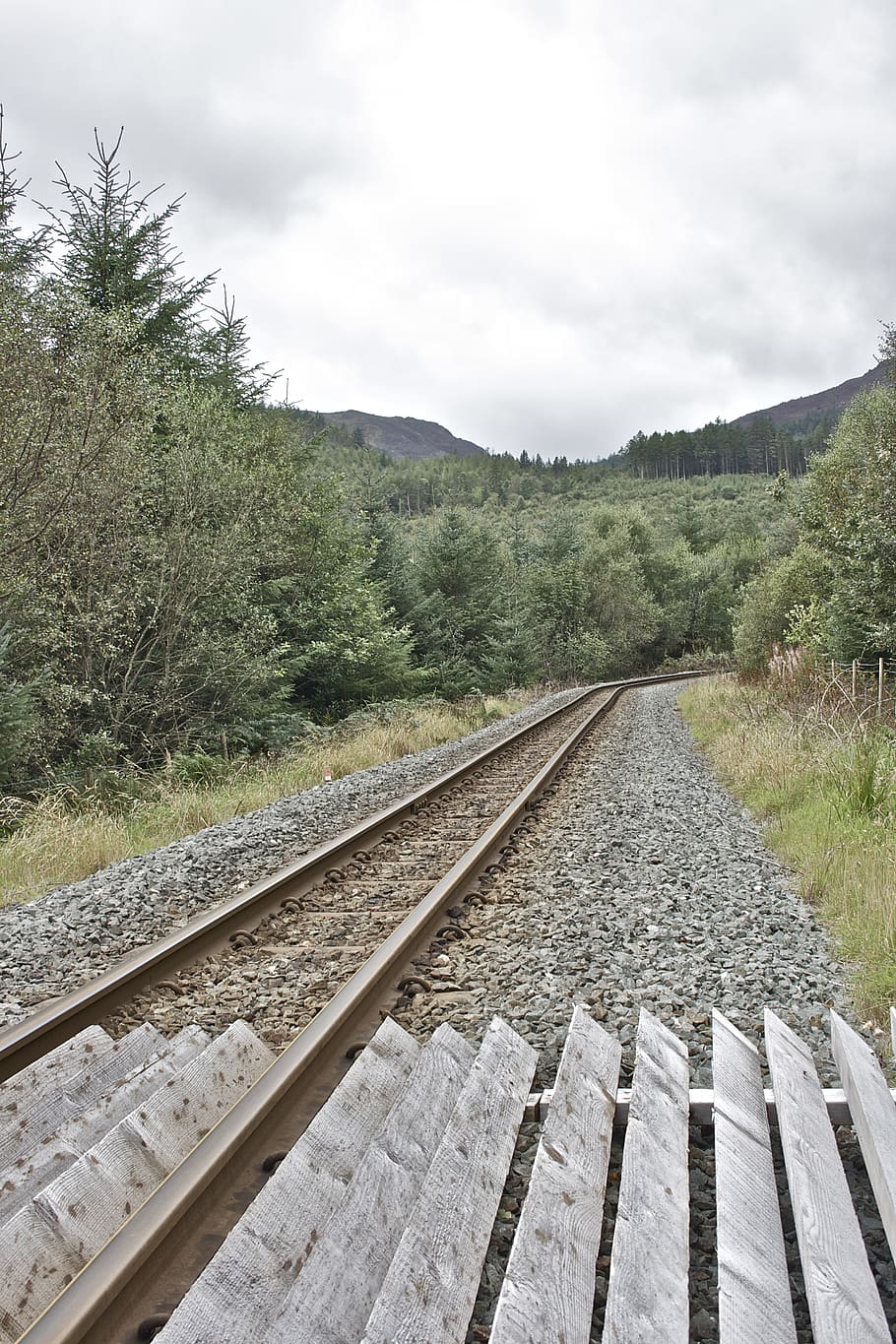 rail transportation, track, railroad track, sky, plant, cloud - sky HD wallpaper
