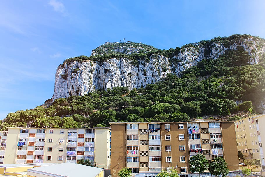 gibraltar, rock, mountain, monkey, england, coast, spain, mediterranean HD wallpaper