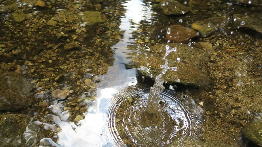 drops, stream, krkonose, water, high angle view, nature, waterfront HD wallpaper