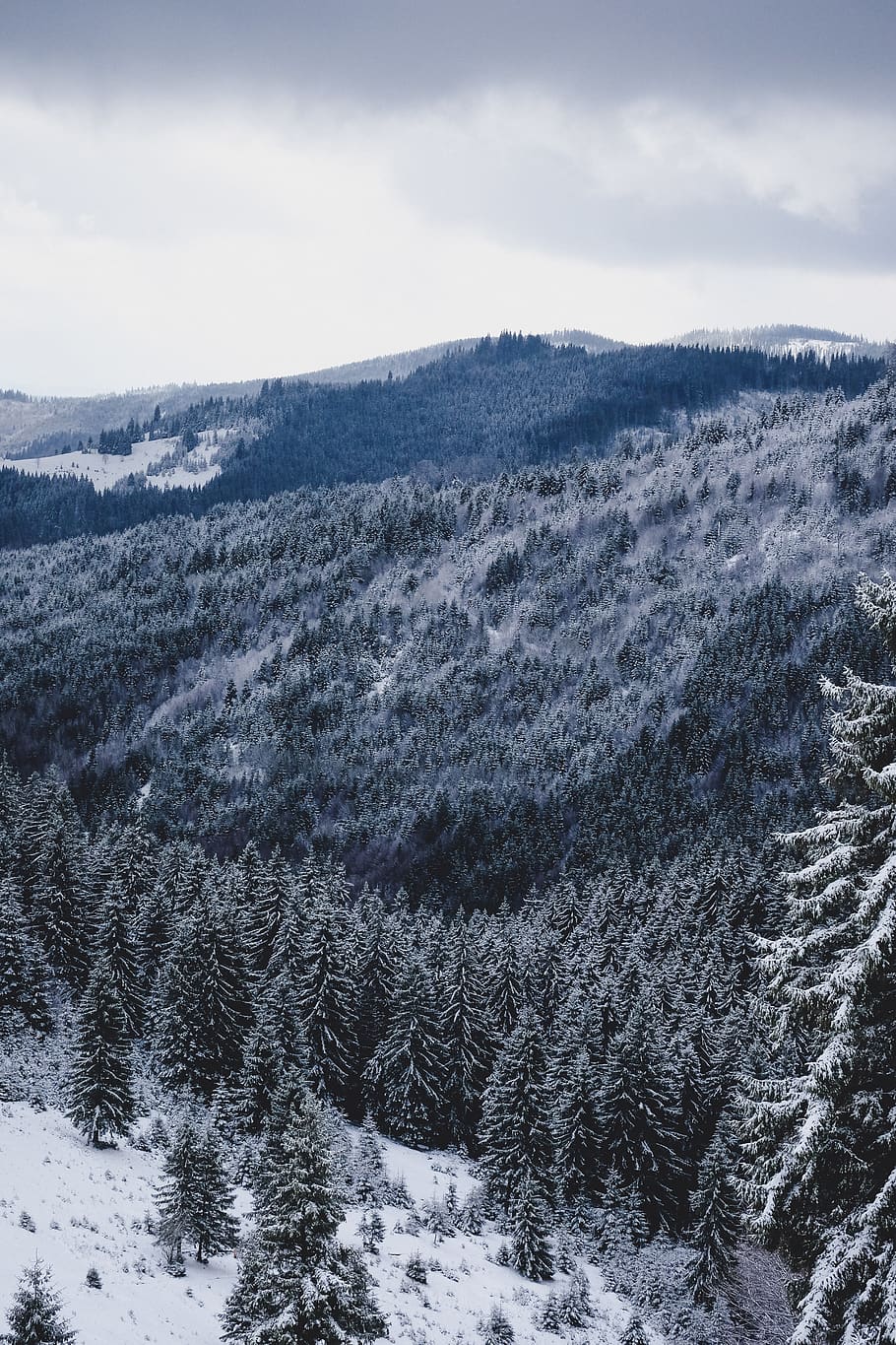 climb, mist, blue, mountain, snow, forest, trees, beauty in nature HD wallpaper