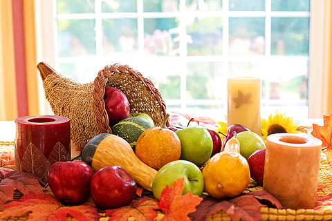 thanksgiving, cornucopia, fruit, autumn, harvest, holiday, abundance HD wallpaper