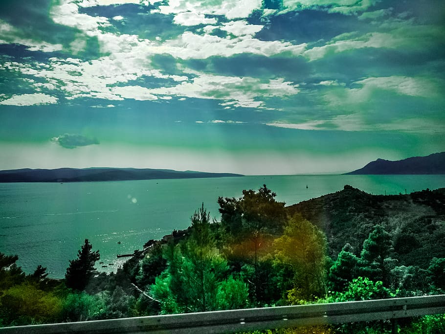 trees, forest, sky, light, wallpaper, background, sea, beauty in nature HD wallpaper