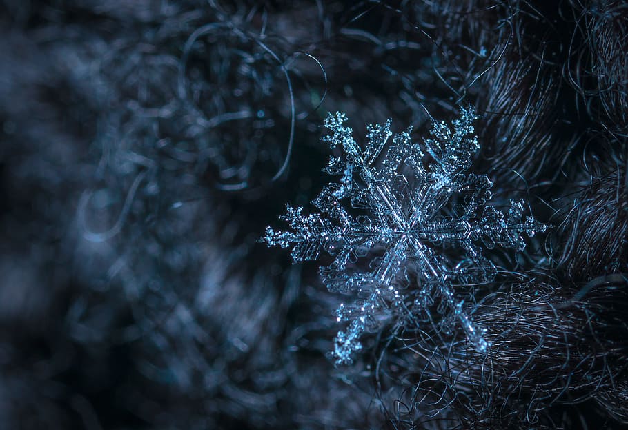 Macro Photography of Snowflake, art, blur, close-up, cold, dark HD wallpaper