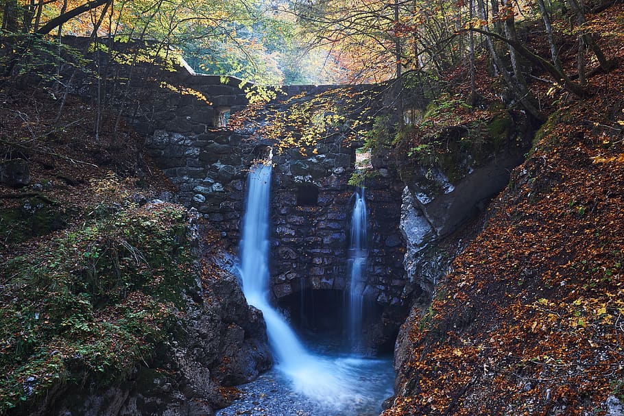 tyrol, stans, bach, clammy, wolf gorge, water, tree, scenics - nature HD wallpaper