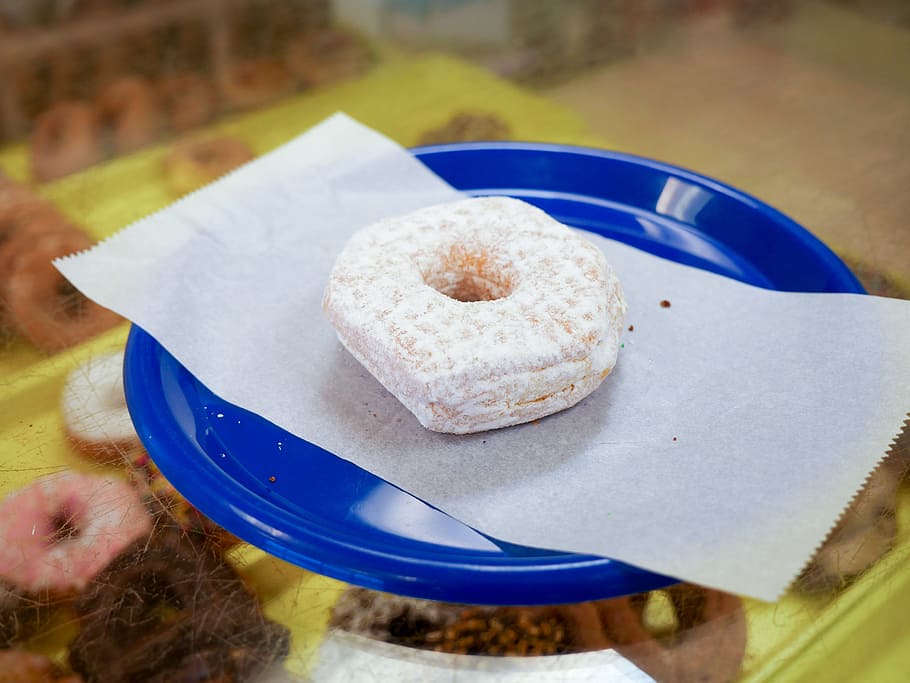 Powdered donut sitting on a blue plate in a donut shop., bakery, HD wallpaper