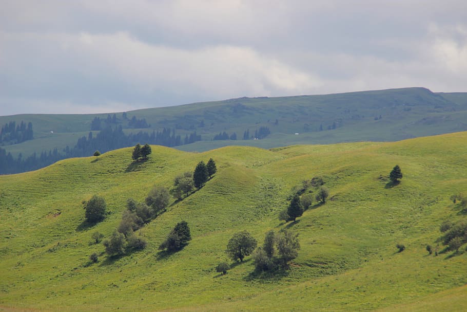 mountain, trees, nature, tranquil scene, beauty in nature, landscape HD wallpaper