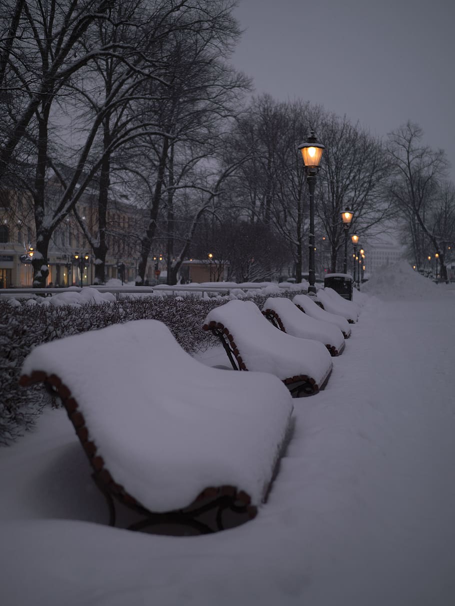 winter, snow, nature, blizzard, storm, outdoors, helsinki, pohjoisesplanadi 29 HD wallpaper
