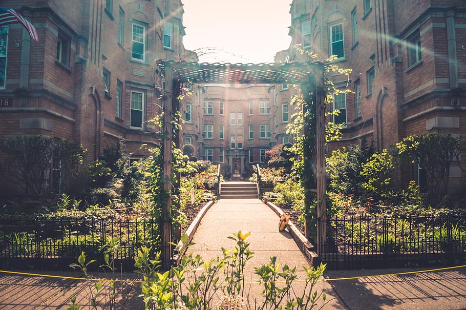 united states, evanston, architecture, building exterior, built structure HD wallpaper