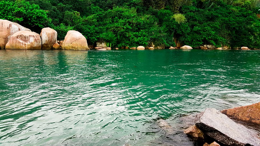 water, green, rock, tree, beauty in nature, day, scenics - nature HD wallpaper