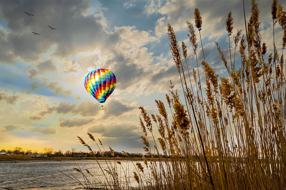 hot air balloon, sky, flying, cloud - sky, water, plant, mid-air HD wallpaper
