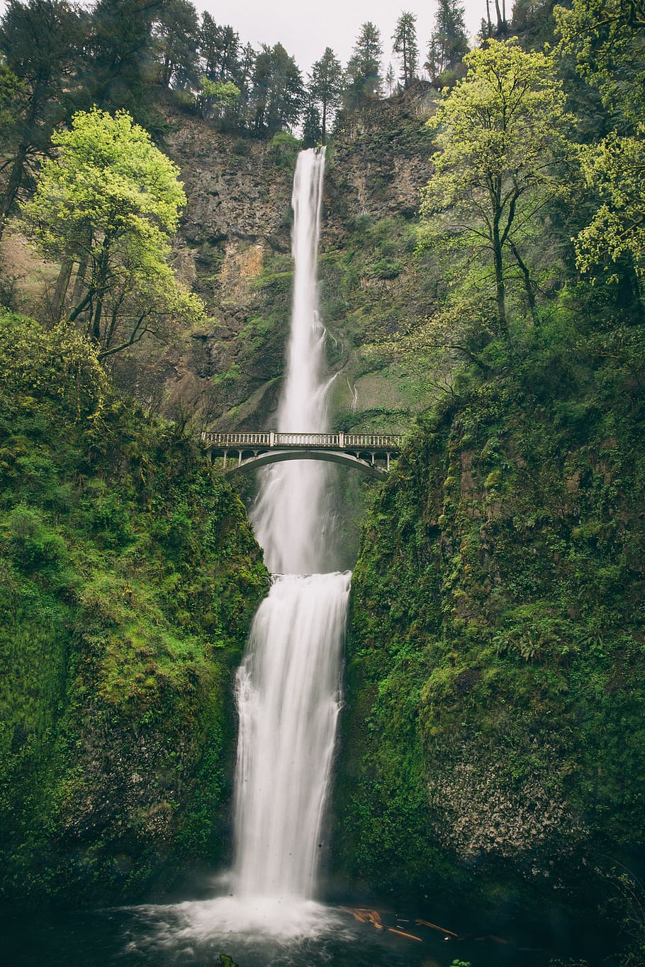 united states, multnomah falls, forest, columbia river gorge, HD wallpaper