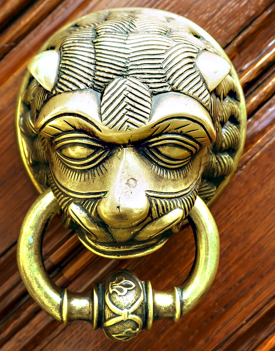 thumper, door, metal, handle, doorknocker, brass, lion, door handle HD wallpaper