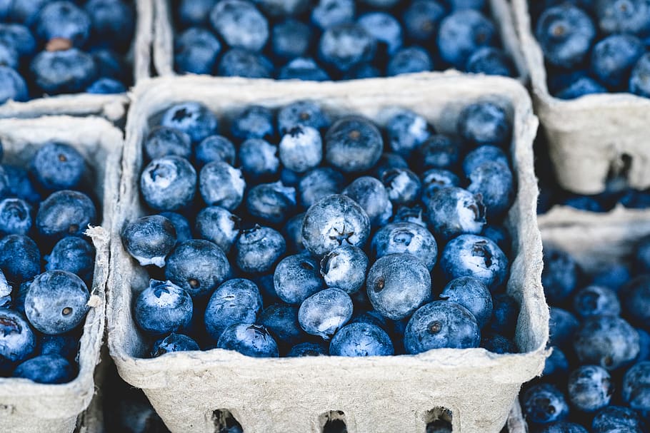 blueberries fruit, healthy eating, berry fruit, food, food and drink HD wallpaper