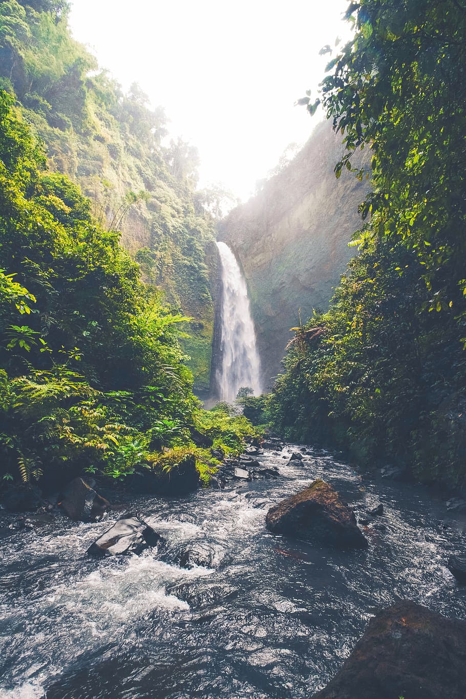 waterfalls and trees, scenics - nature, plant, beauty in nature HD wallpaper
