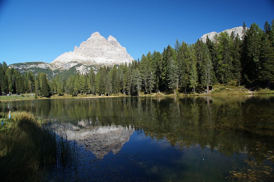 battlements, dolomites, mountains, reflection, water, tree HD wallpaper