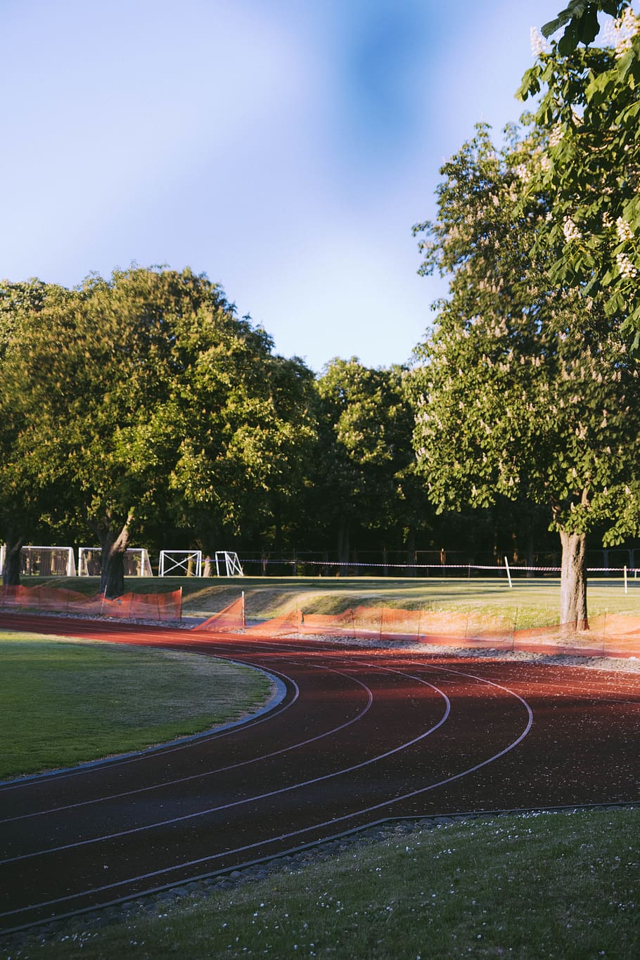 Track Field With Trees, asphalt, bright, daylight, environment HD wallpaper