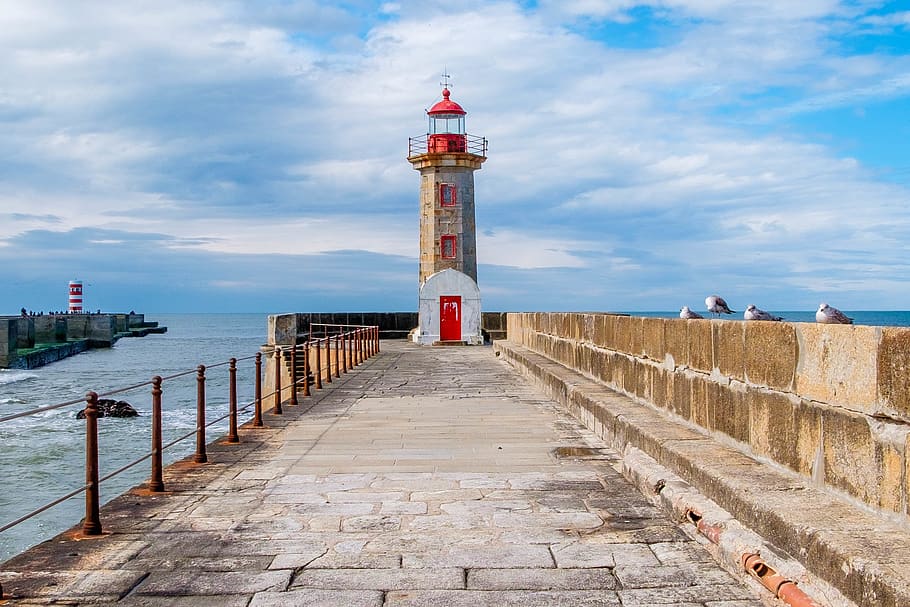 lighthouse, sea, seagulls, architecture, built structure, building exterior HD wallpaper