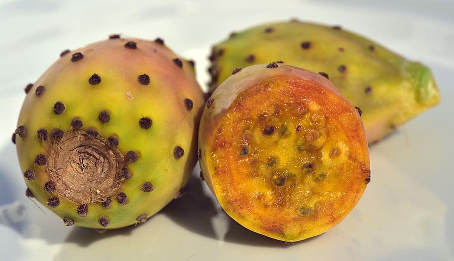 hd-wallpaper-cactus-prickly-pear-fruit-edible-ficus-spur-sweet