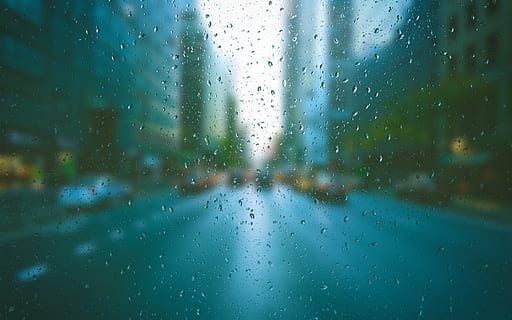 View of Street from a Glass Window, background, blur, clean, clear HD wallpaper