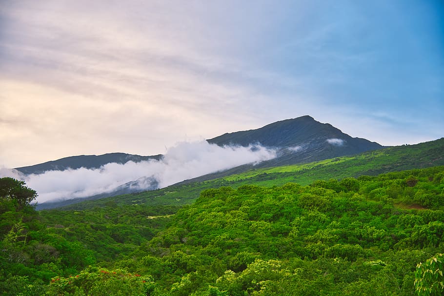 green trees, nature, mountain, outdoors, mountain range, hill HD wallpaper