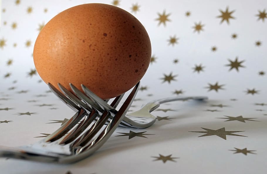 Close-up of Orange Poultry Egg, background, brown, celebration HD wallpaper