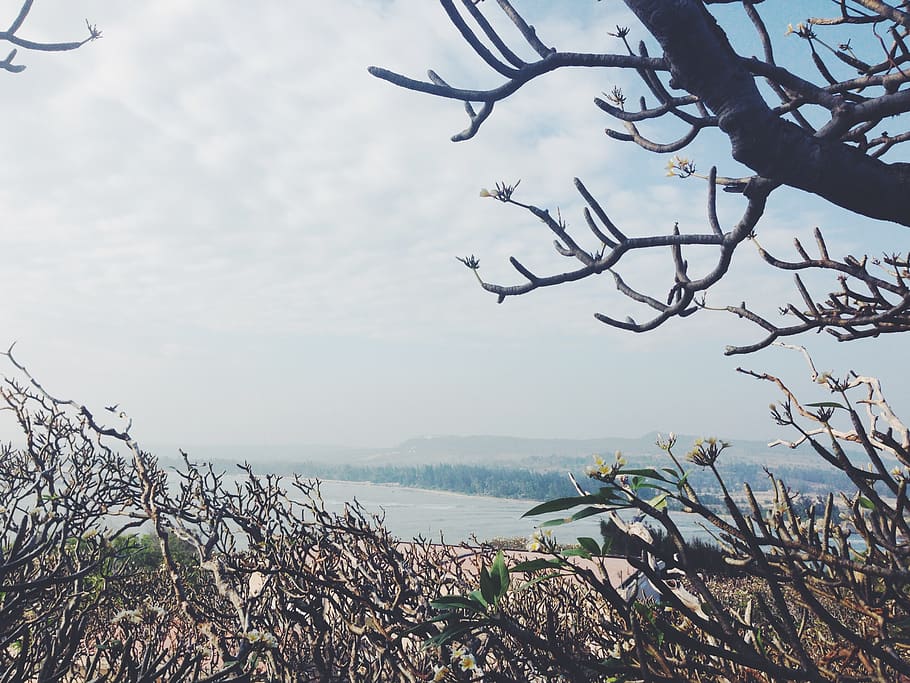 vietnam, trip, view, ocean, nature, trees, summer, landscape HD wallpaper