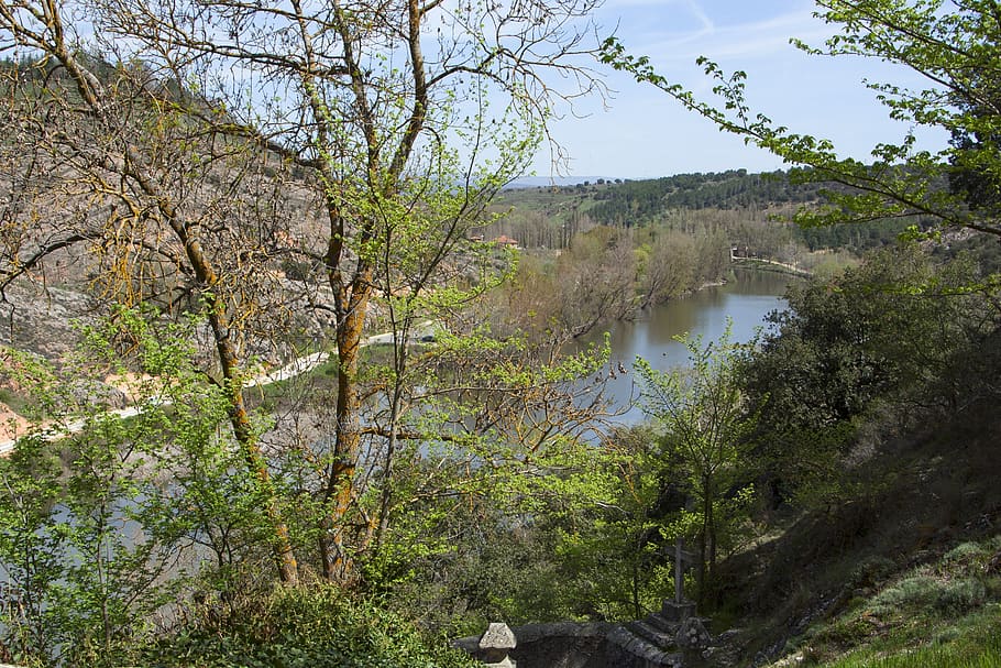 landscape, river, nature, beautiful, trees, panorama, water HD wallpaper