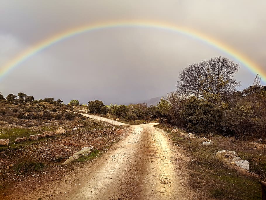rainbow, path, horizon, sky, plant, beauty in nature, tree HD wallpaper