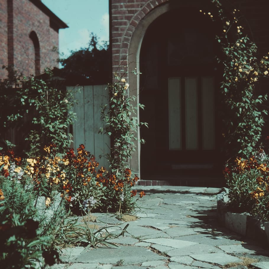 flagstone, plant, tree, patio, ivy, architecture, building HD wallpaper