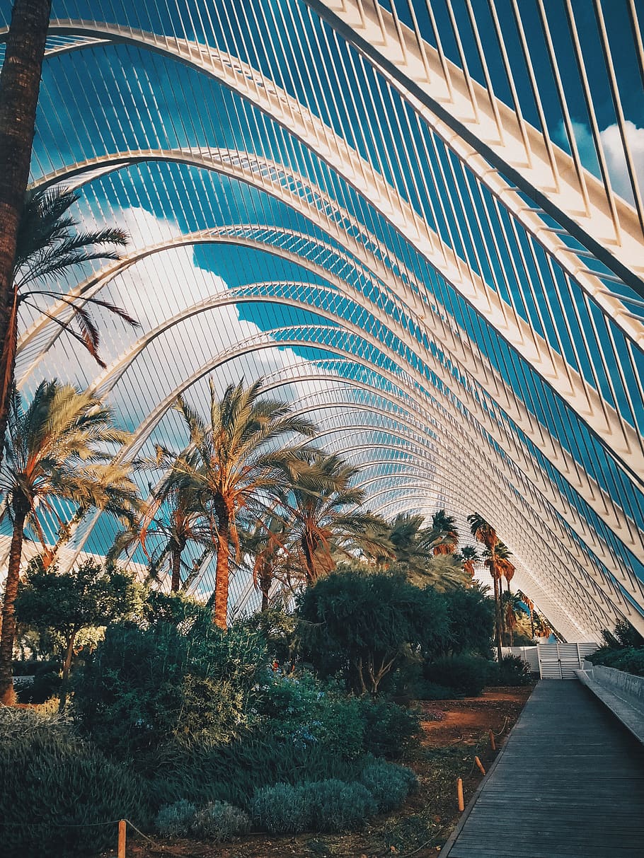 architectural design, tree, plant, palm tree, tropical climate HD wallpaper
