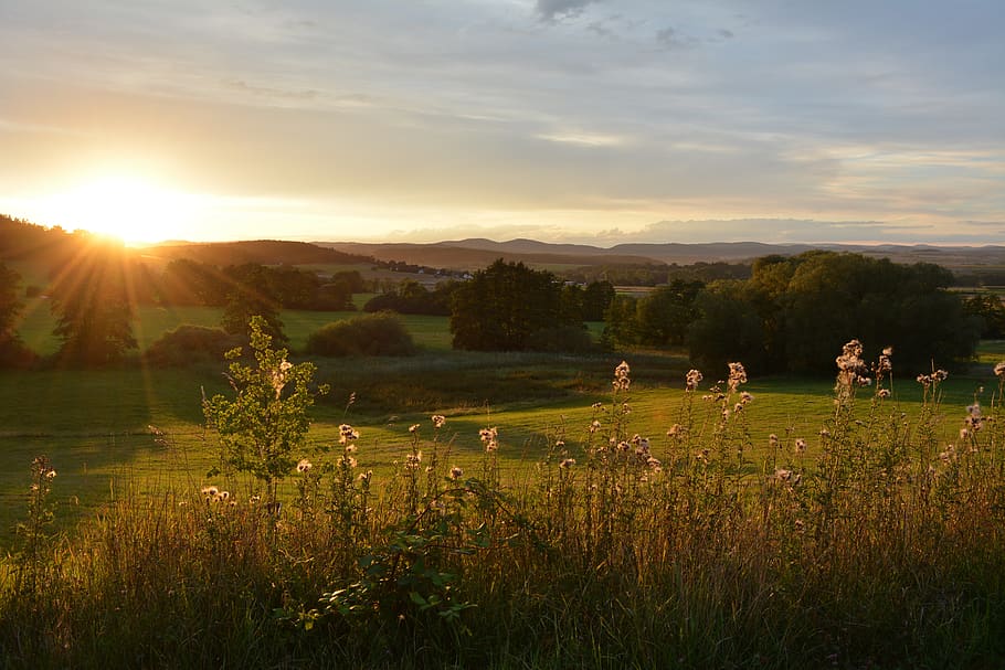 landscape, sunset, panorama, nature, grass, dusk, sky, agriculture HD wallpaper