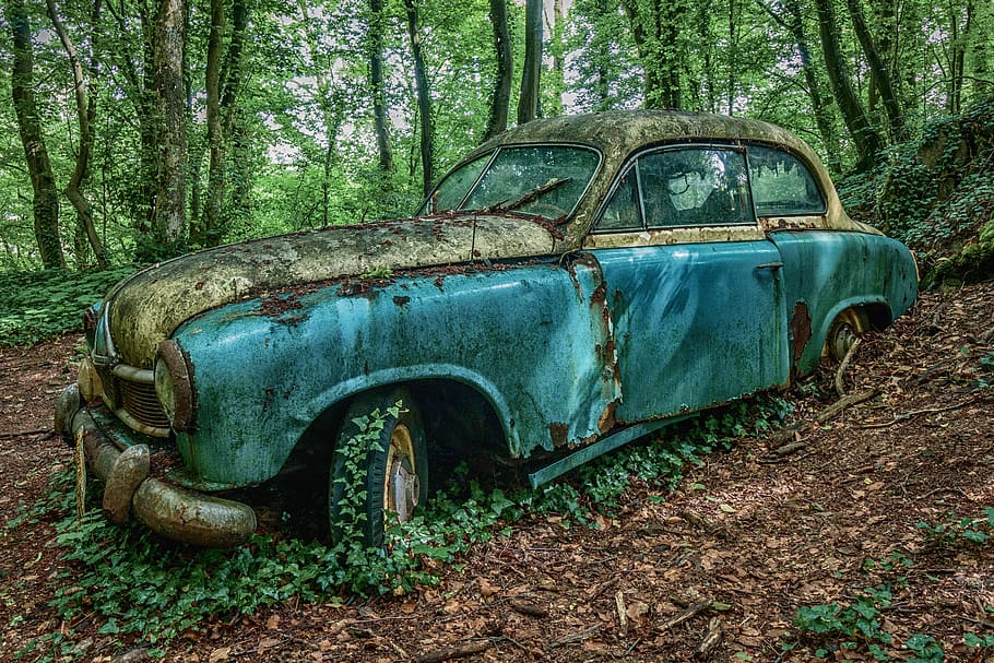 auto, oldtimer, car wreck, car cemetery, automotive, vintage car, HD wallpaper