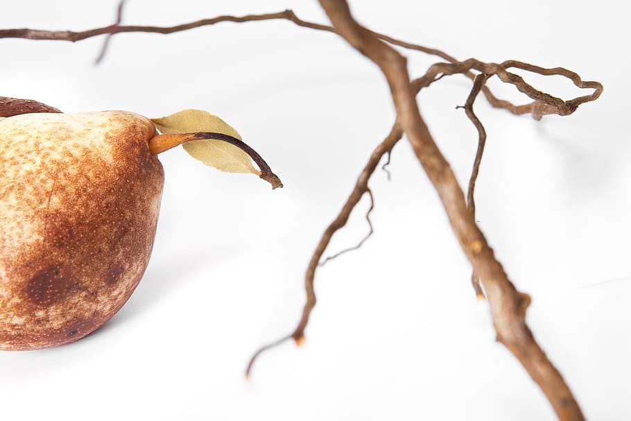 pear, pears, fruit, white, food, nobody, studio, healthy, fruity HD wallpaper