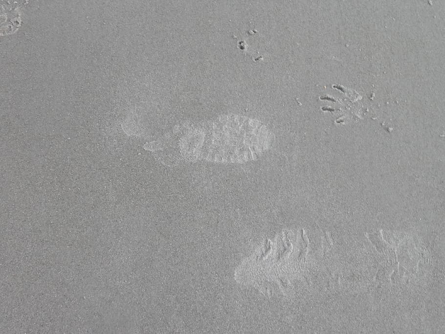 sand, beach, footprints, handprint, land, no people, high angle view HD wallpaper