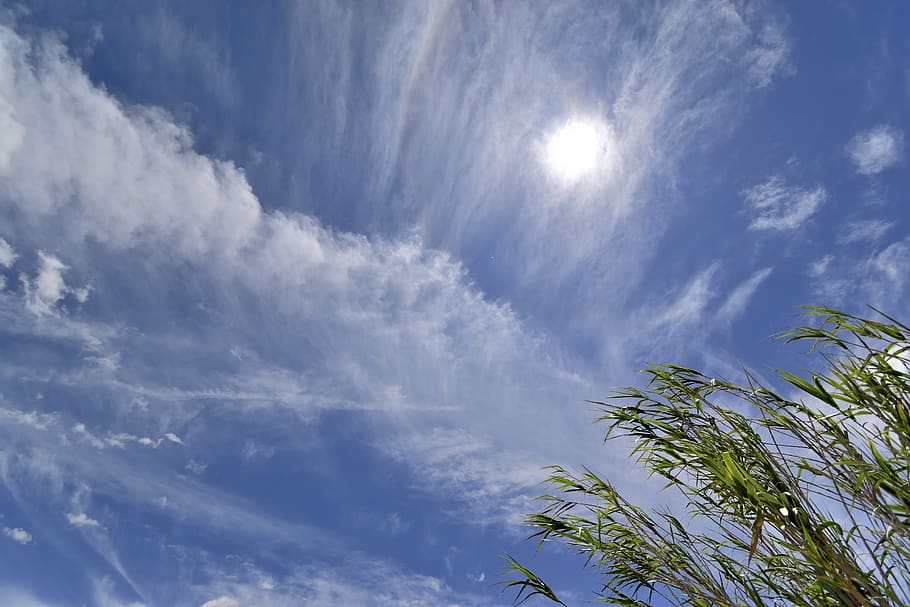sky, clouds, climate, atmosphere, cloudy, blue, day, white HD wallpaper