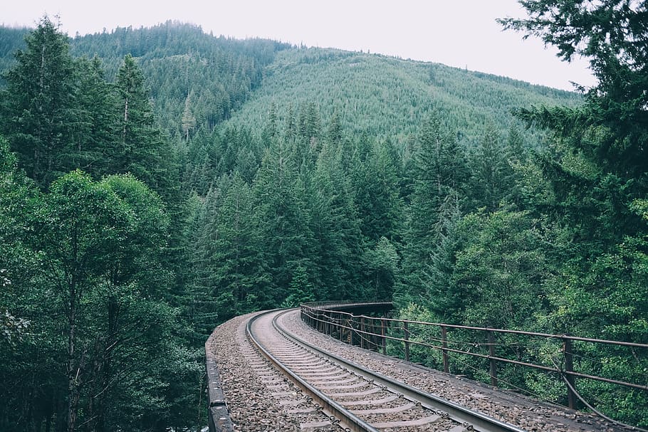 curve, daylight, forest, green, guidance, mountain, nature HD wallpaper