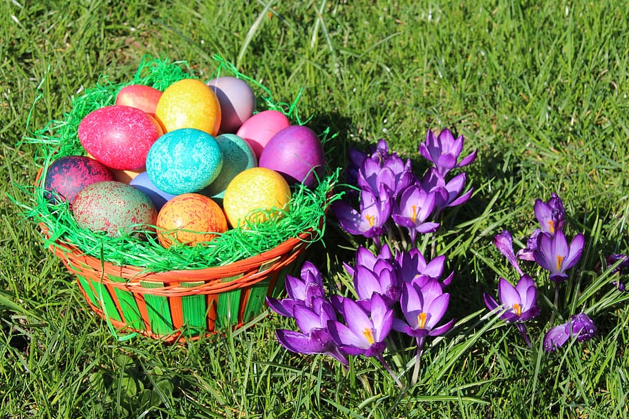 easter, spring, easter egg, nature, hare, meadow, frühlingsanfang, HD wallpaper