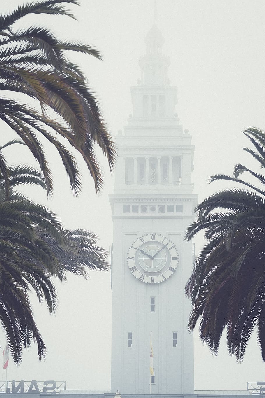 w palm trees in front of clock tower, building, united states, HD wallpaper