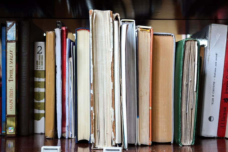 book, publication, shelf, bookshelf, literature, education HD wallpaper