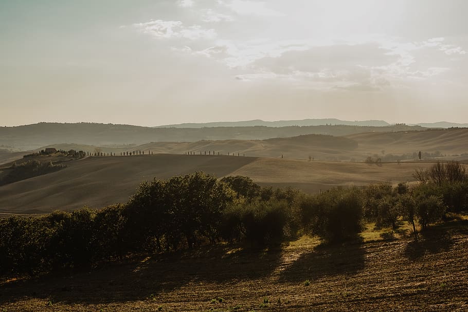 italy, pienza, val d'orcia, tranquility, tranquil scene, beauty in nature