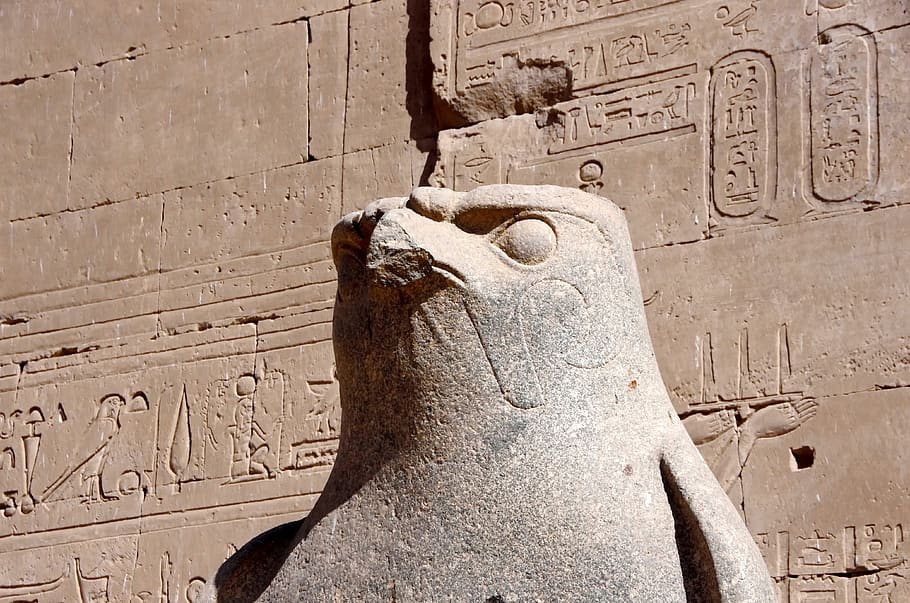 egypt, edfu, temple, divinity, horus, egyptian god, art, sculpture HD wallpaper
