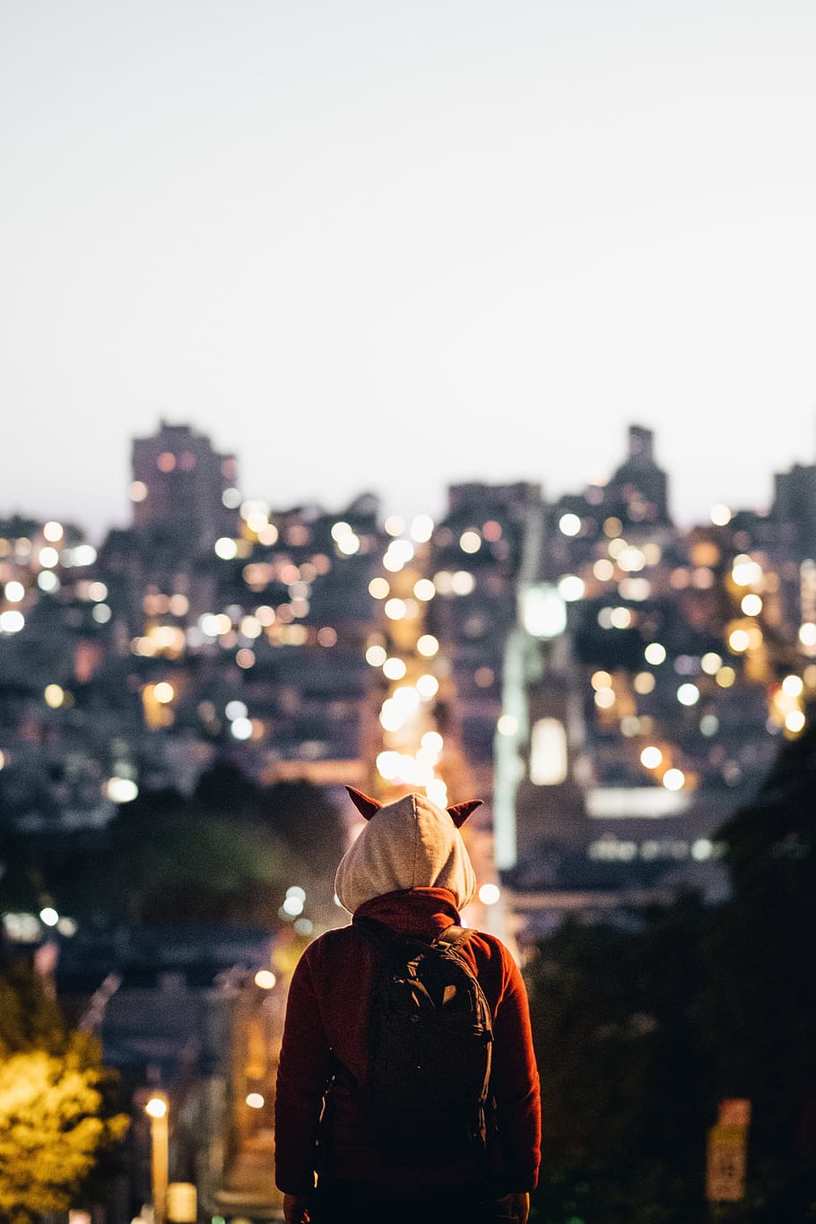 Horned Hood Watches Over City Photo, Sunset, Bag, Backpack, rear view HD wallpaper