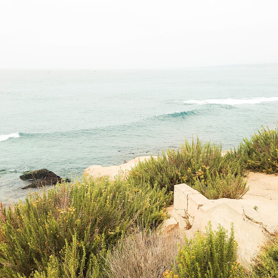 ocean, blue, shore, waves, sea, cliff, rocky, water, plant HD wallpaper