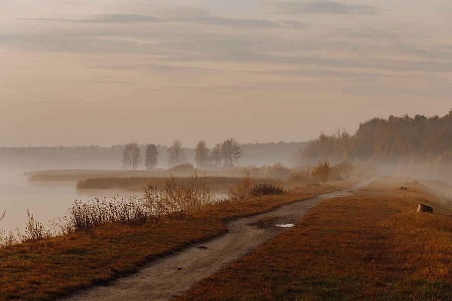 poland, jezioro chechło-nakło, forest, path, silesia, fog, HD wallpaper