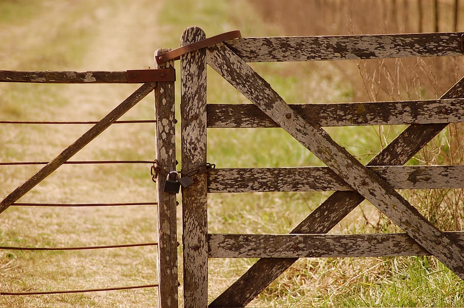 Locked White and Brown Wooden Gate, barn, blur, close-up, farm HD wallpaper